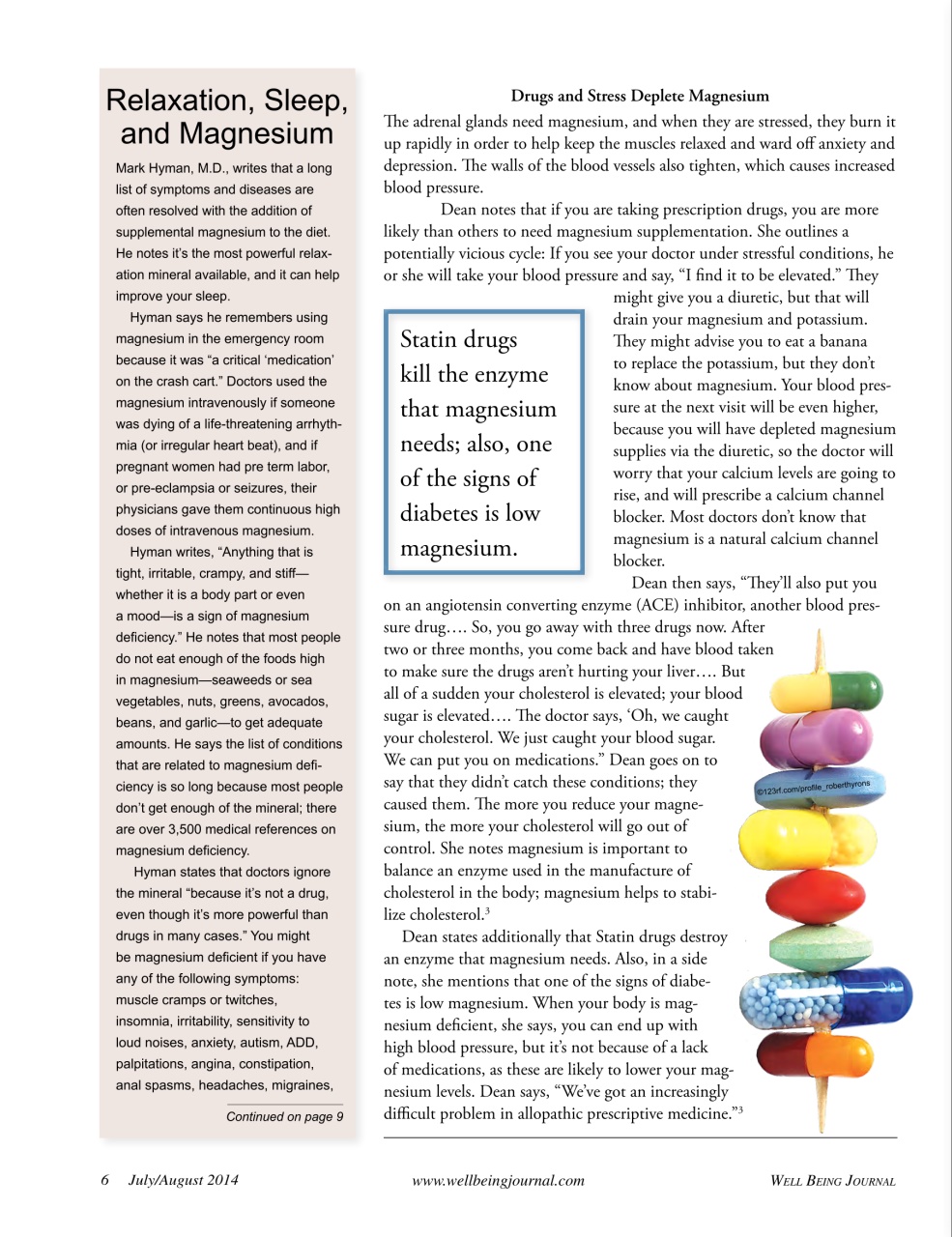 Well Being Journal Preview Pages