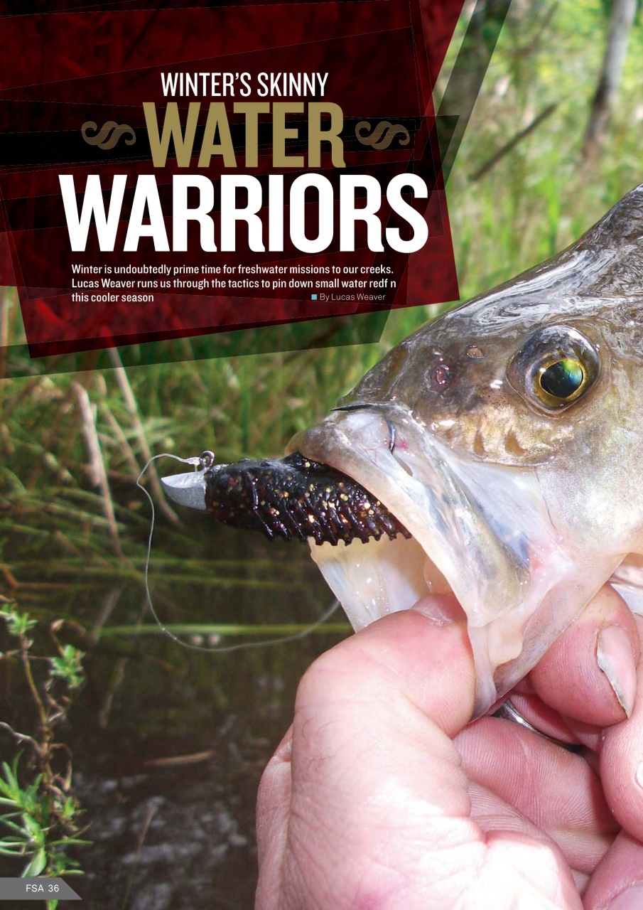 Fishing SA Preview Pages