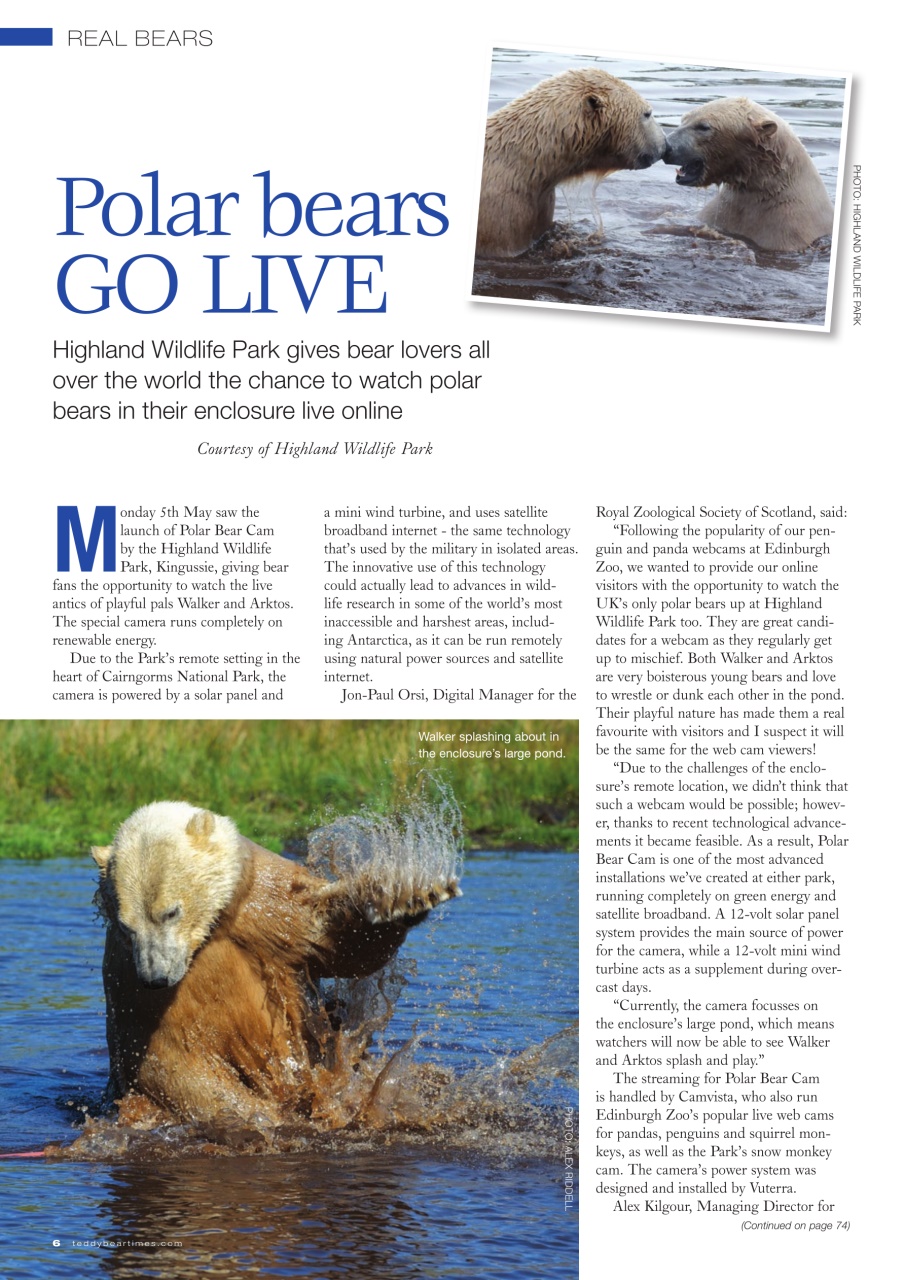 Teddy Bear Times Preview Pages