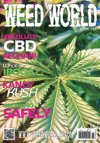 Weed World issue Issue 111