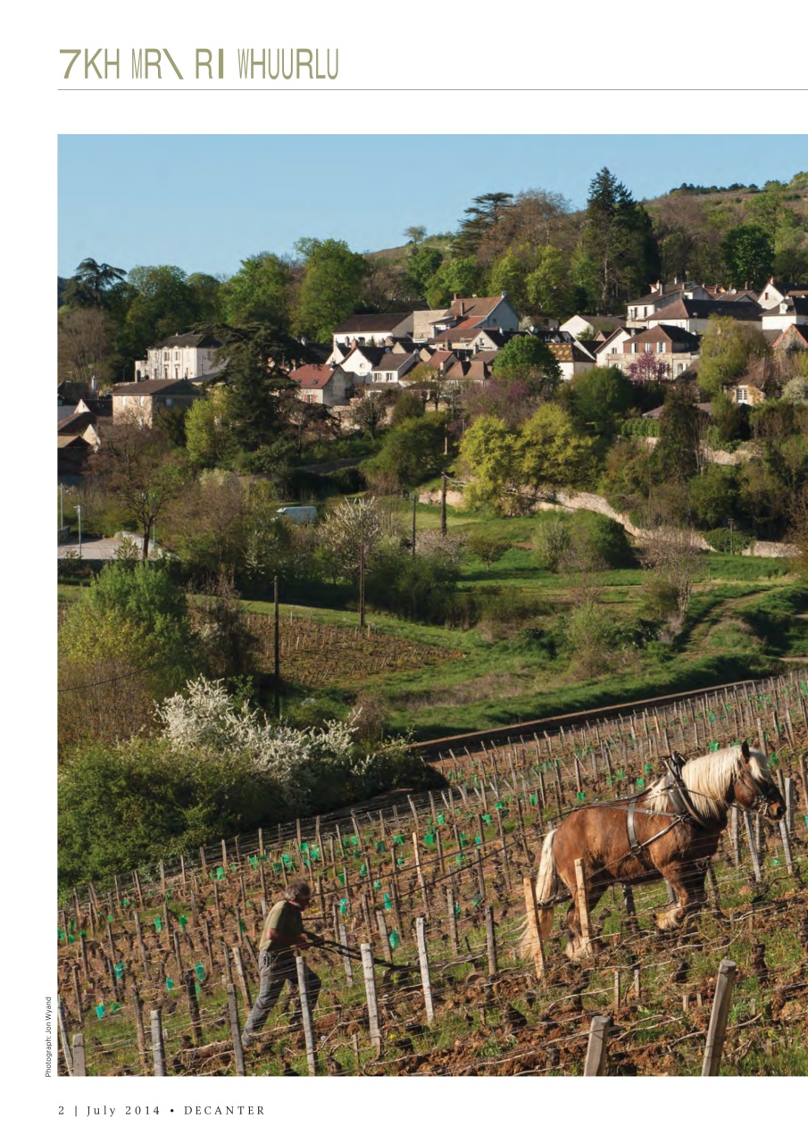 Decanter Preview Pages