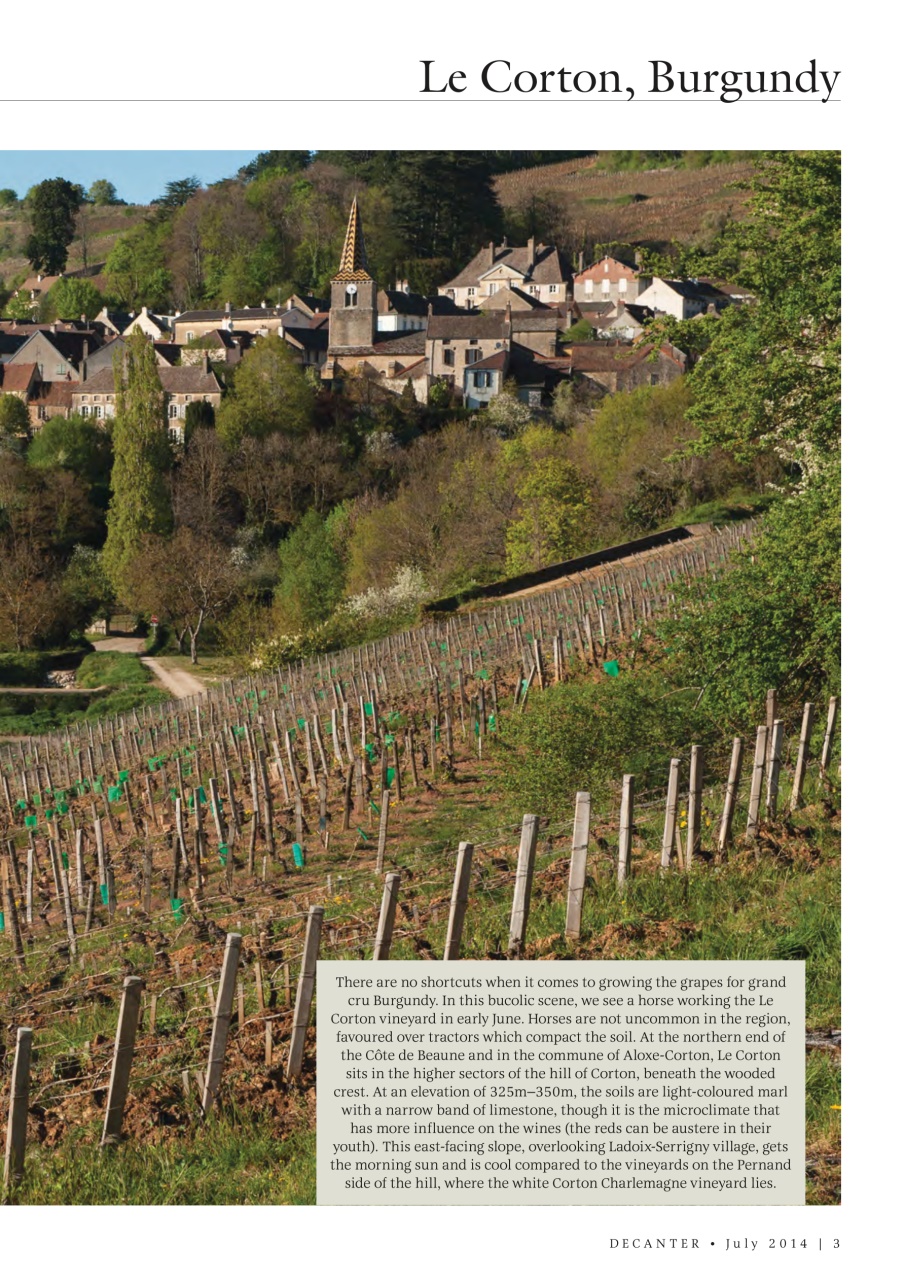 Decanter Preview Pages