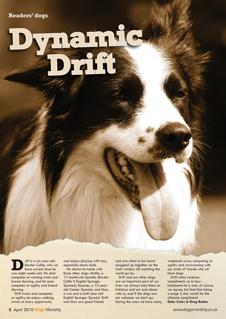 Dogs Monthly Preview Pages