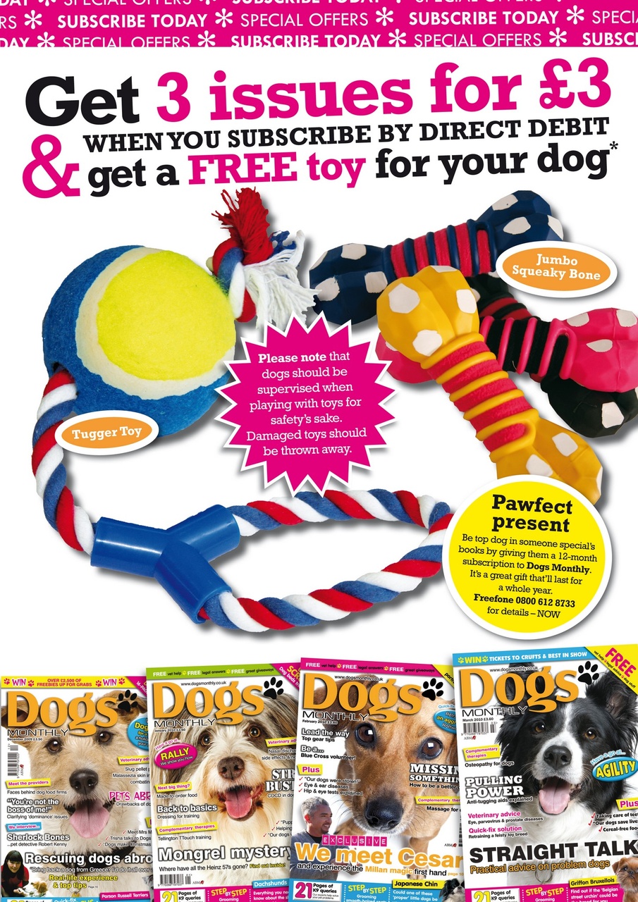 Dogs Monthly Preview Pages