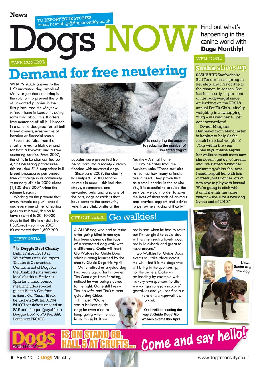 Dogs Monthly Preview Pages