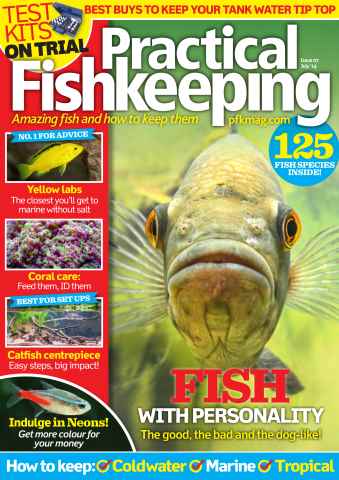 Practical Fishkeeping issue July 2014