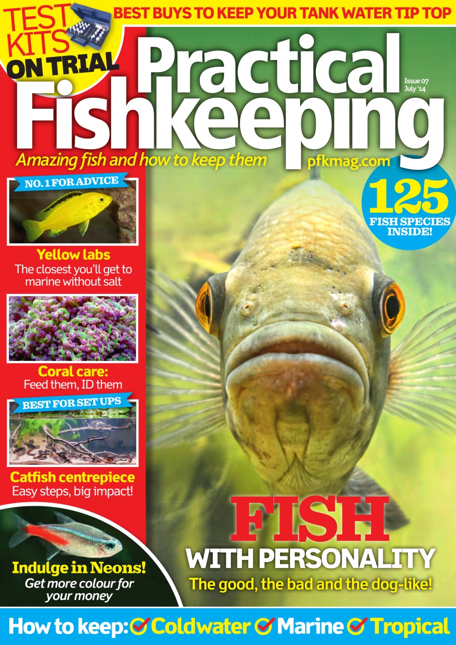 Practical Fishkeeping Preview Pages