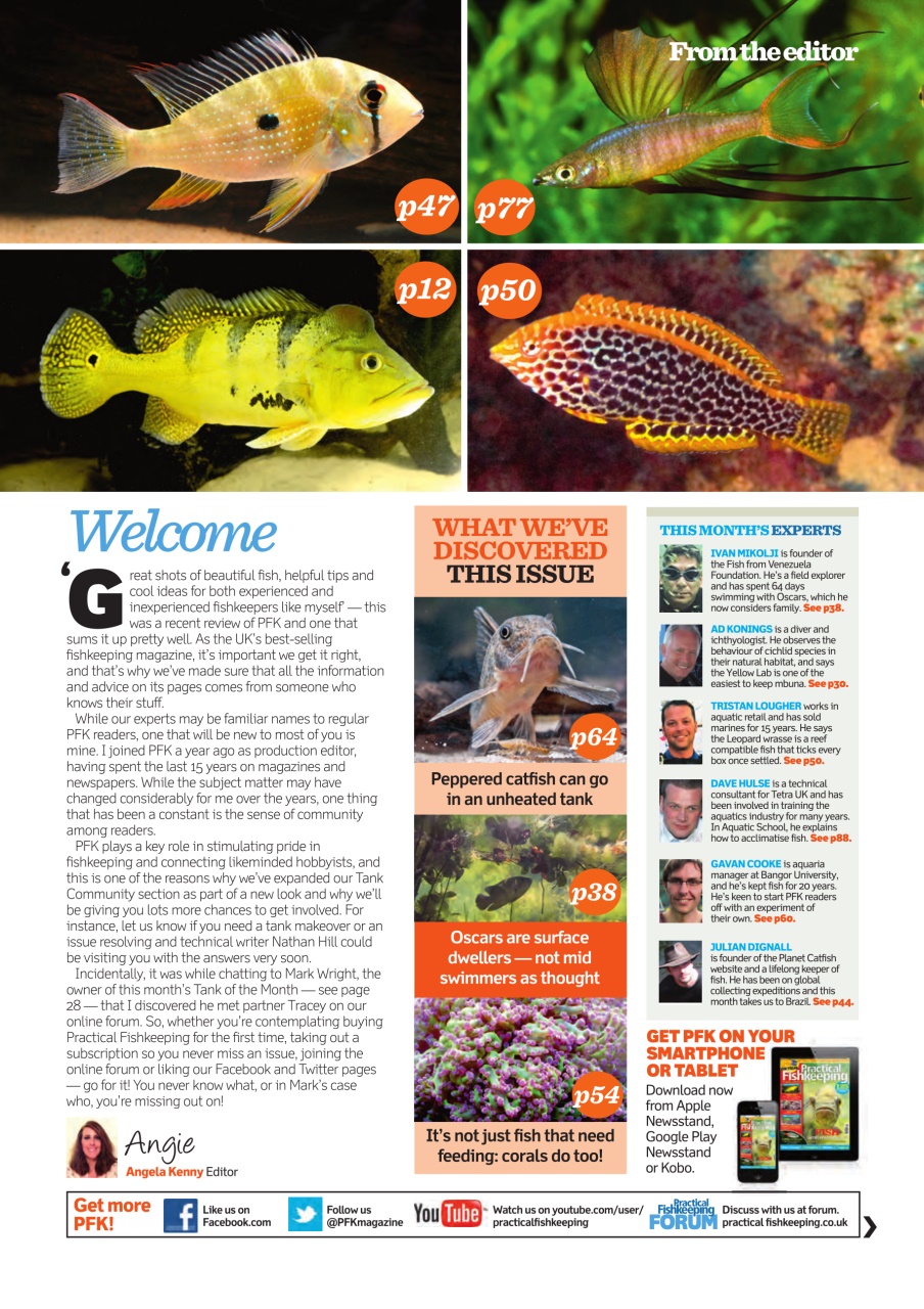 Practical Fishkeeping Preview Pages
