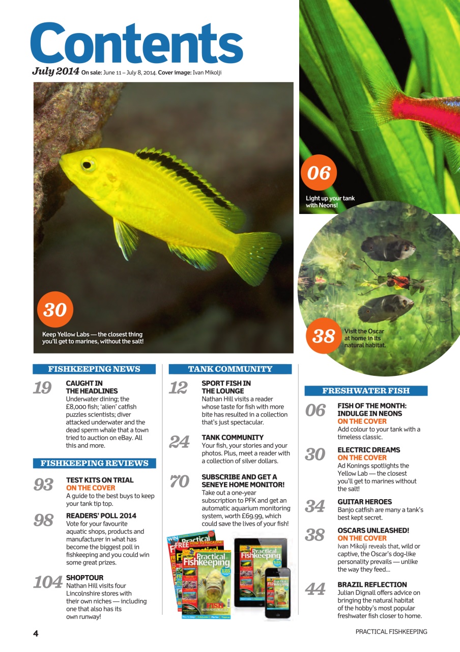 Practical Fishkeeping Preview Pages