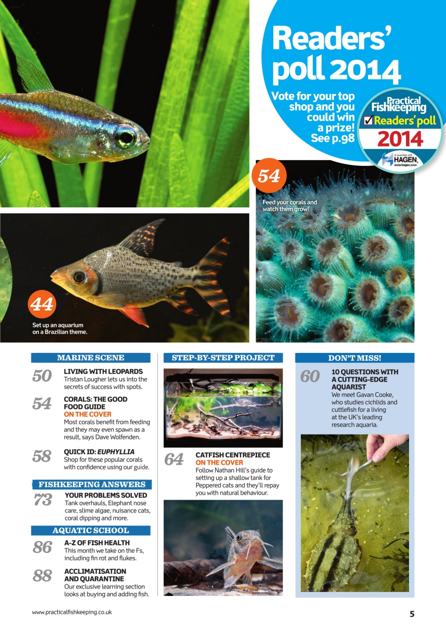 Practical Fishkeeping Preview Pages