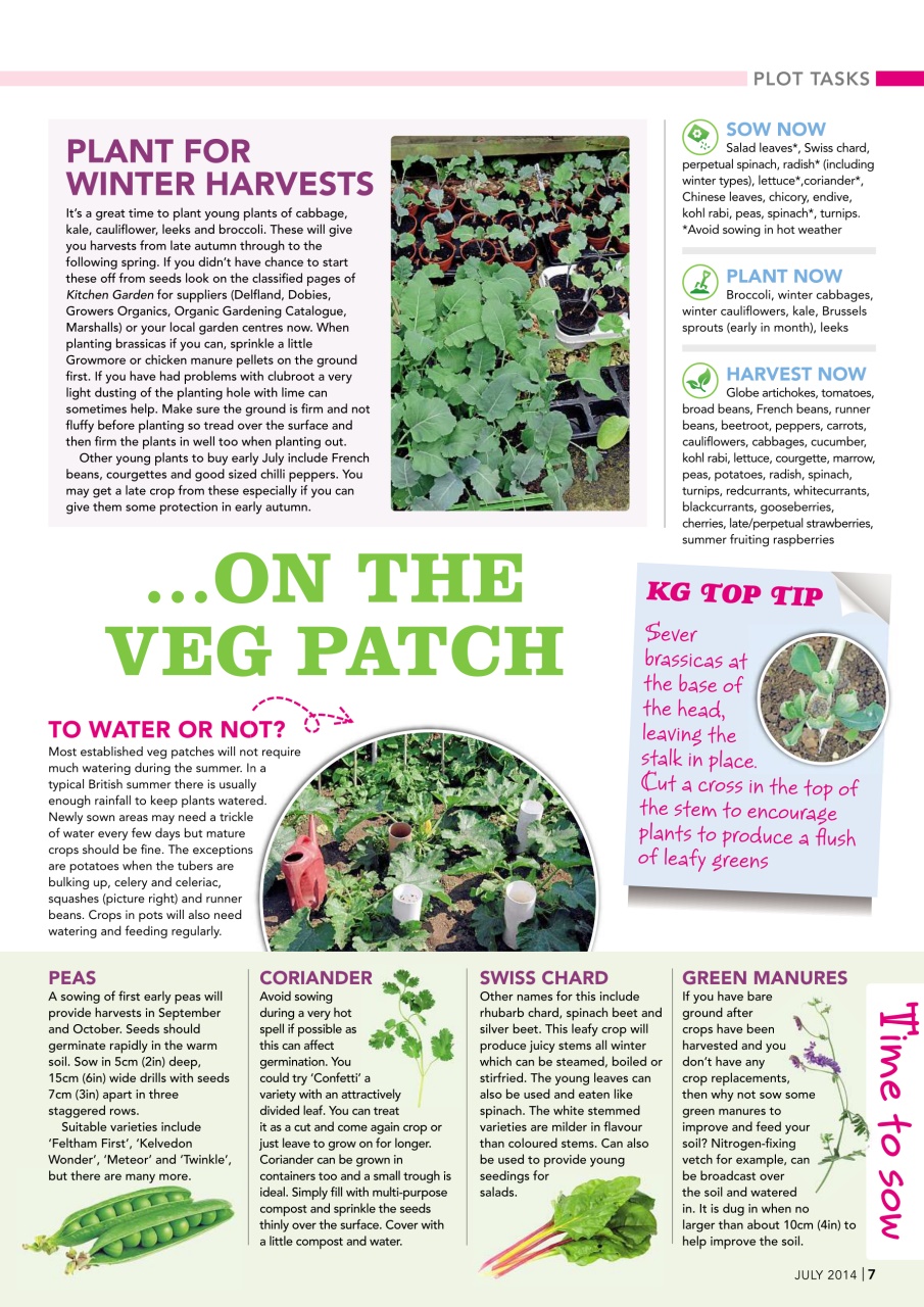 Kitchen Garden Magazine Preview Pages