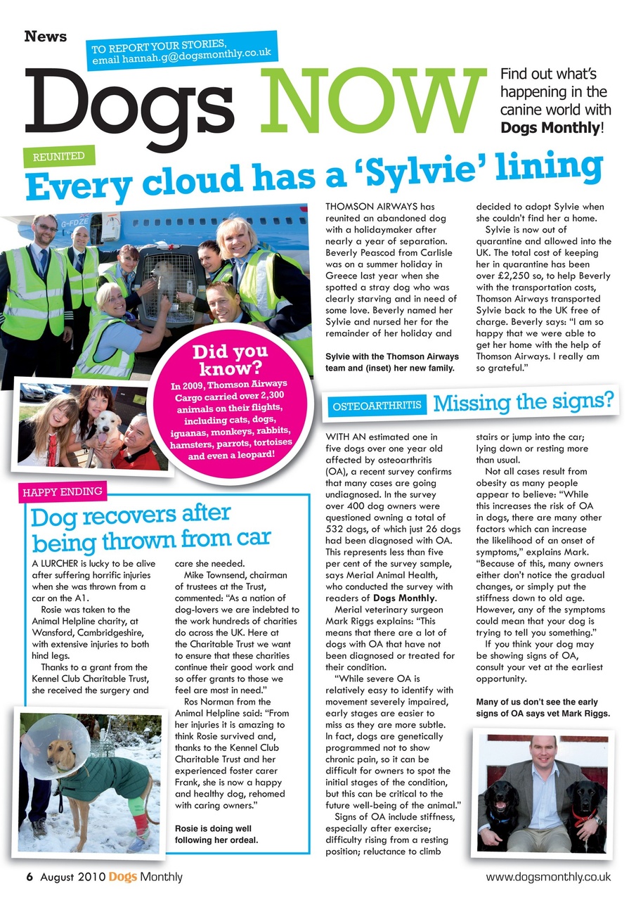 Dogs Monthly Preview Pages