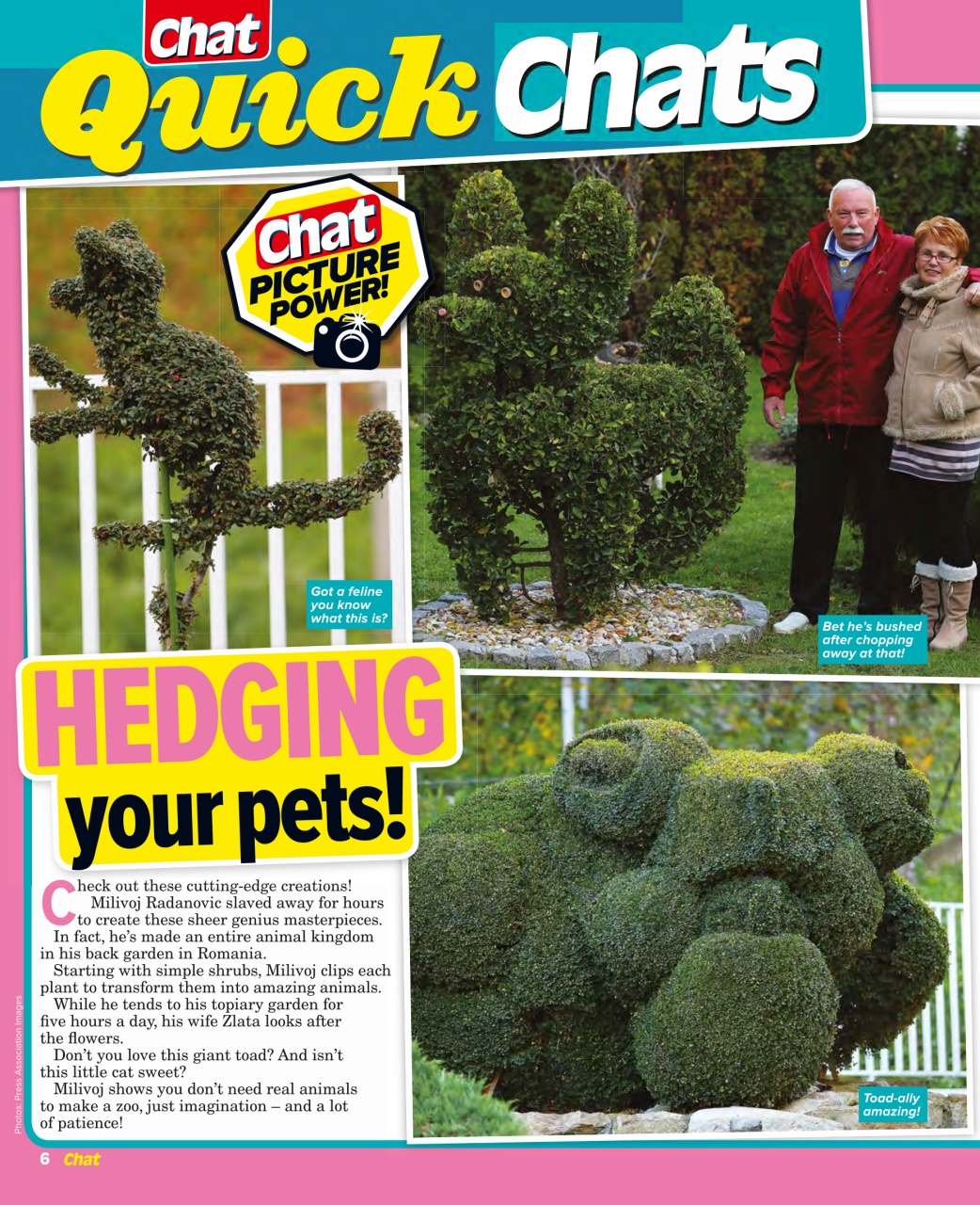 Chat Specials Preview Pages