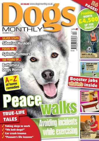 Dogs Monthly issue December 2010