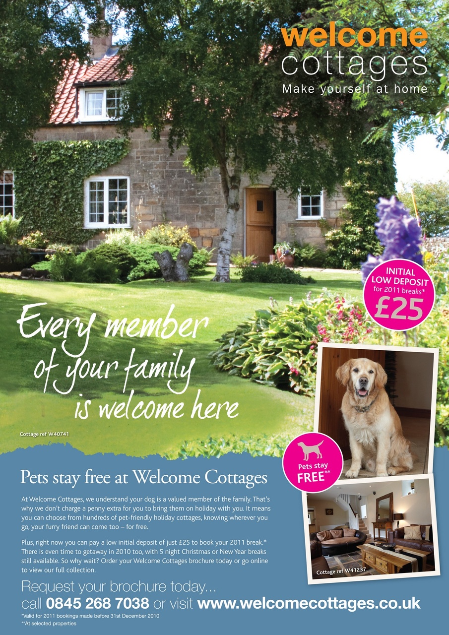 Dogs Monthly Preview Pages