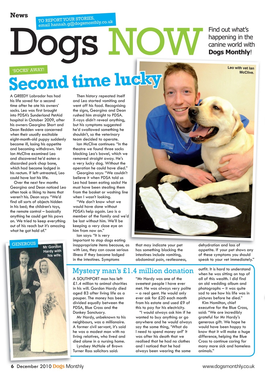 Dogs Monthly Preview Pages