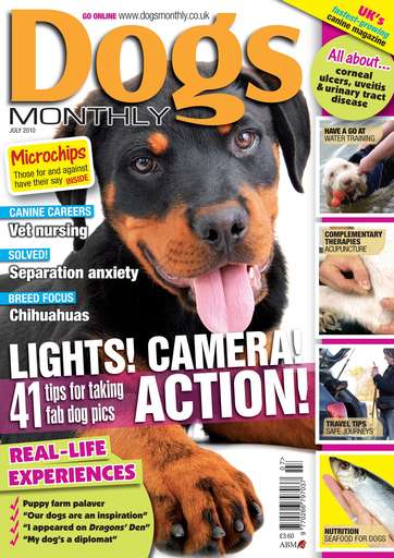 Dogs Monthly issue 