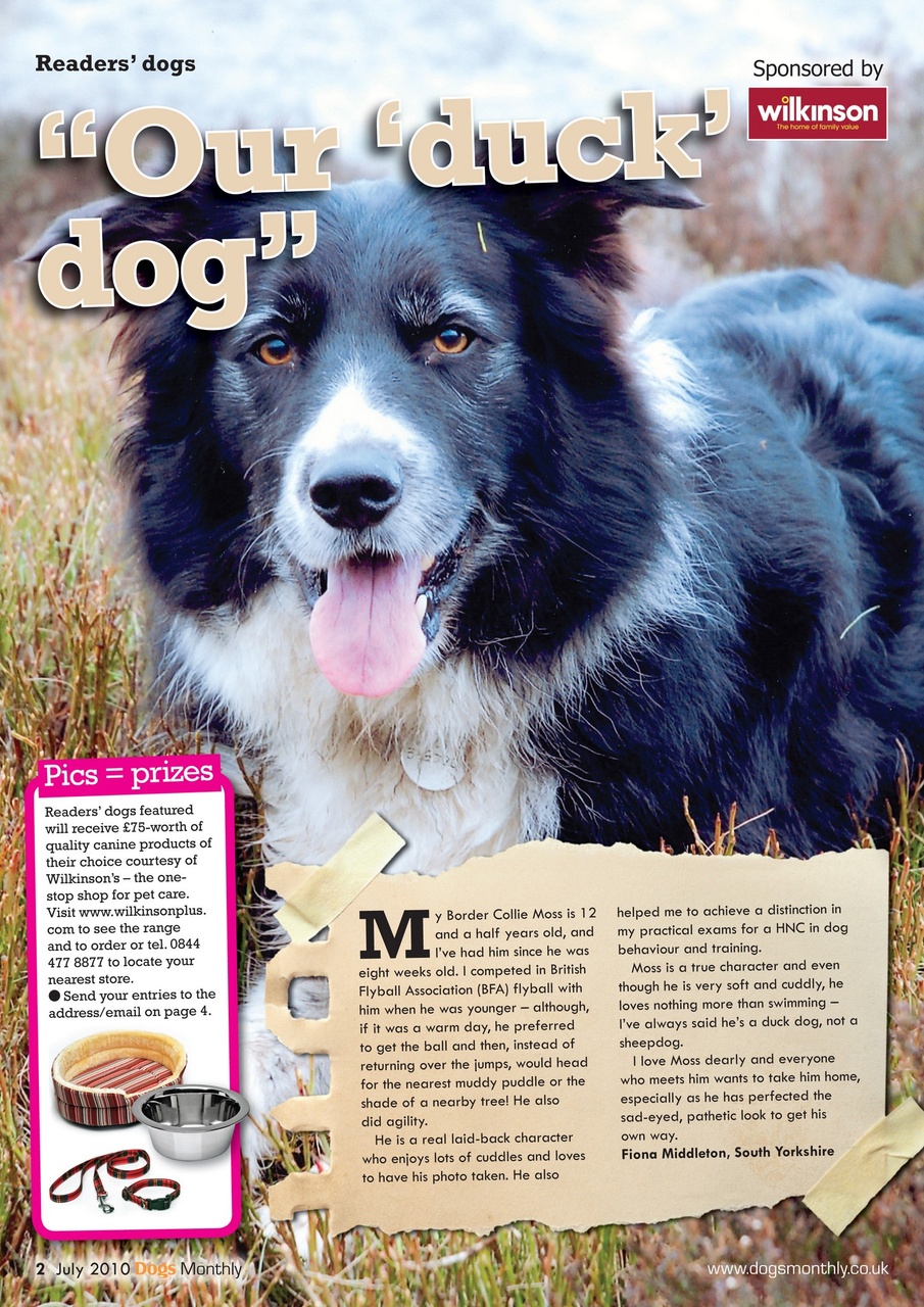 Dogs Monthly Preview Pages