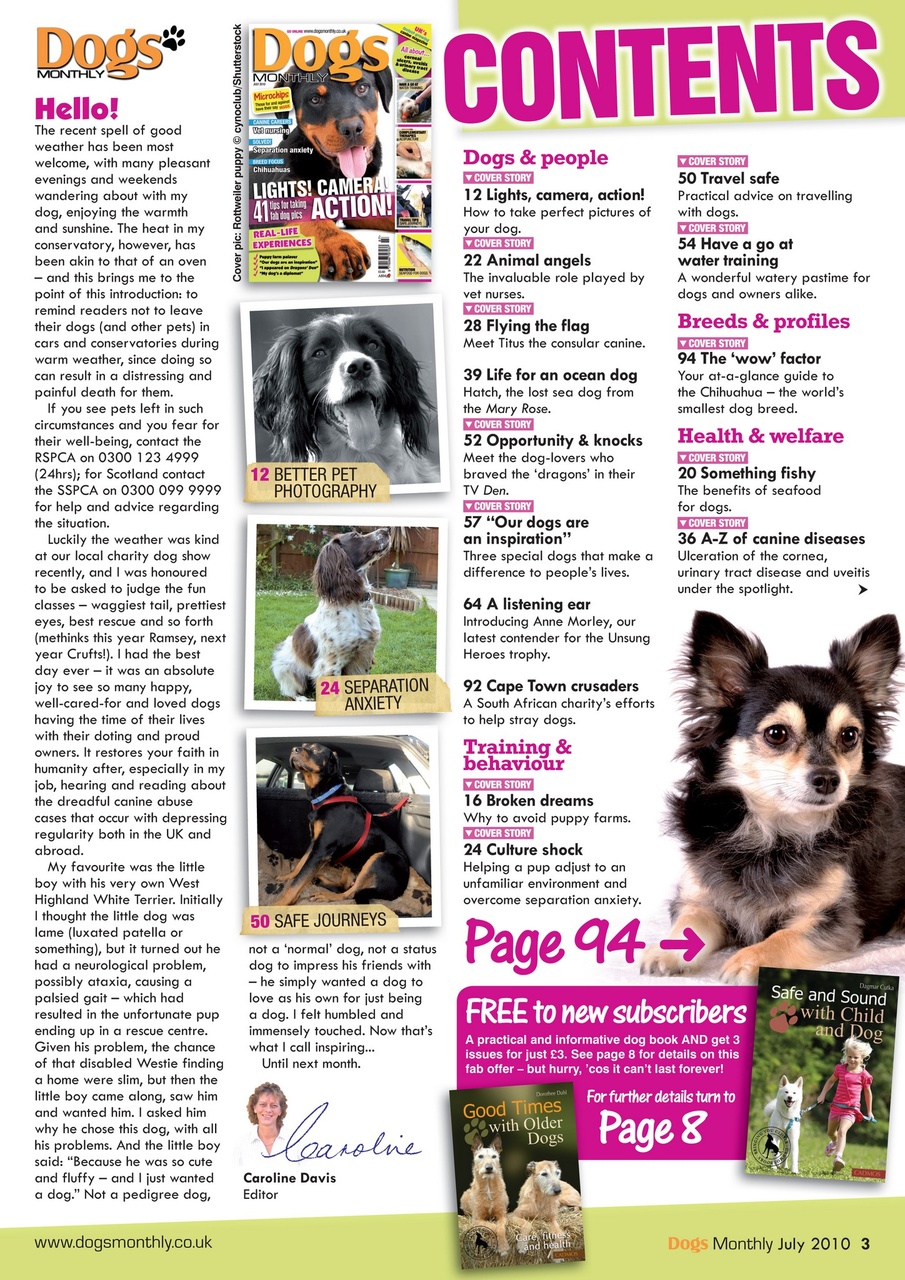 Dogs Monthly Preview Pages