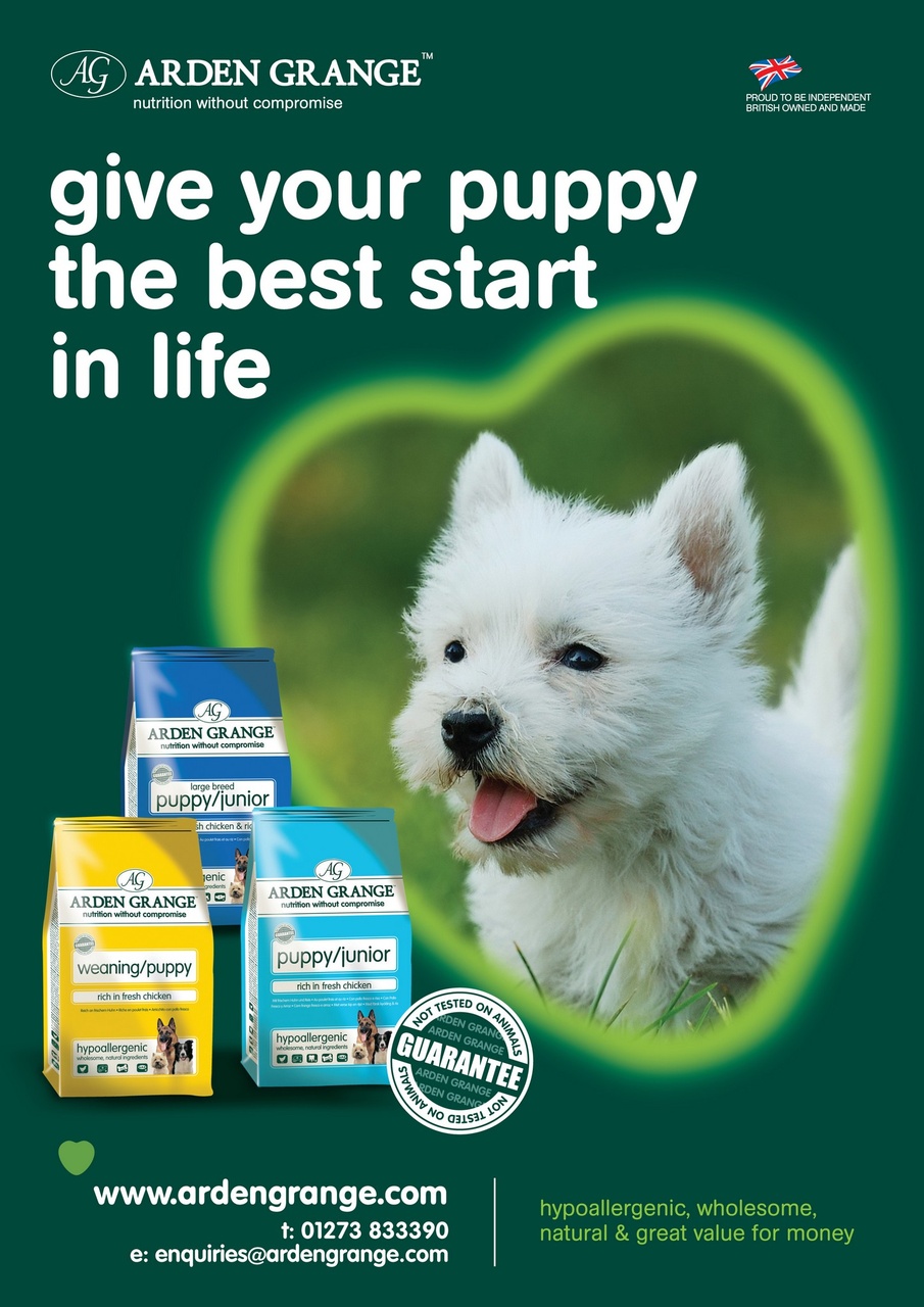 Dogs Monthly Preview Pages