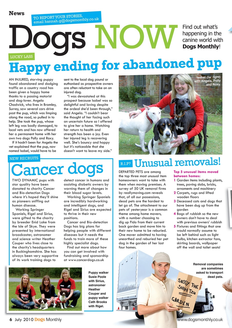 Dogs Monthly Preview Pages
