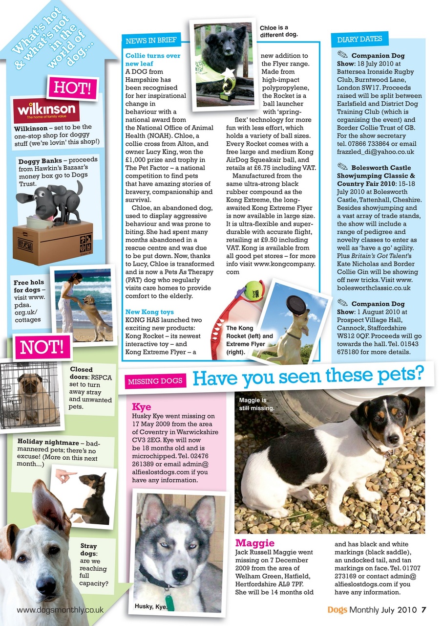 Dogs Monthly Preview Pages