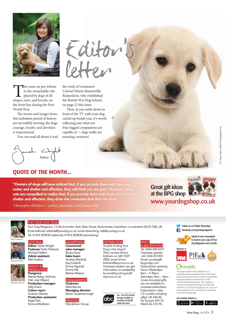 Your Dog Preview Pages