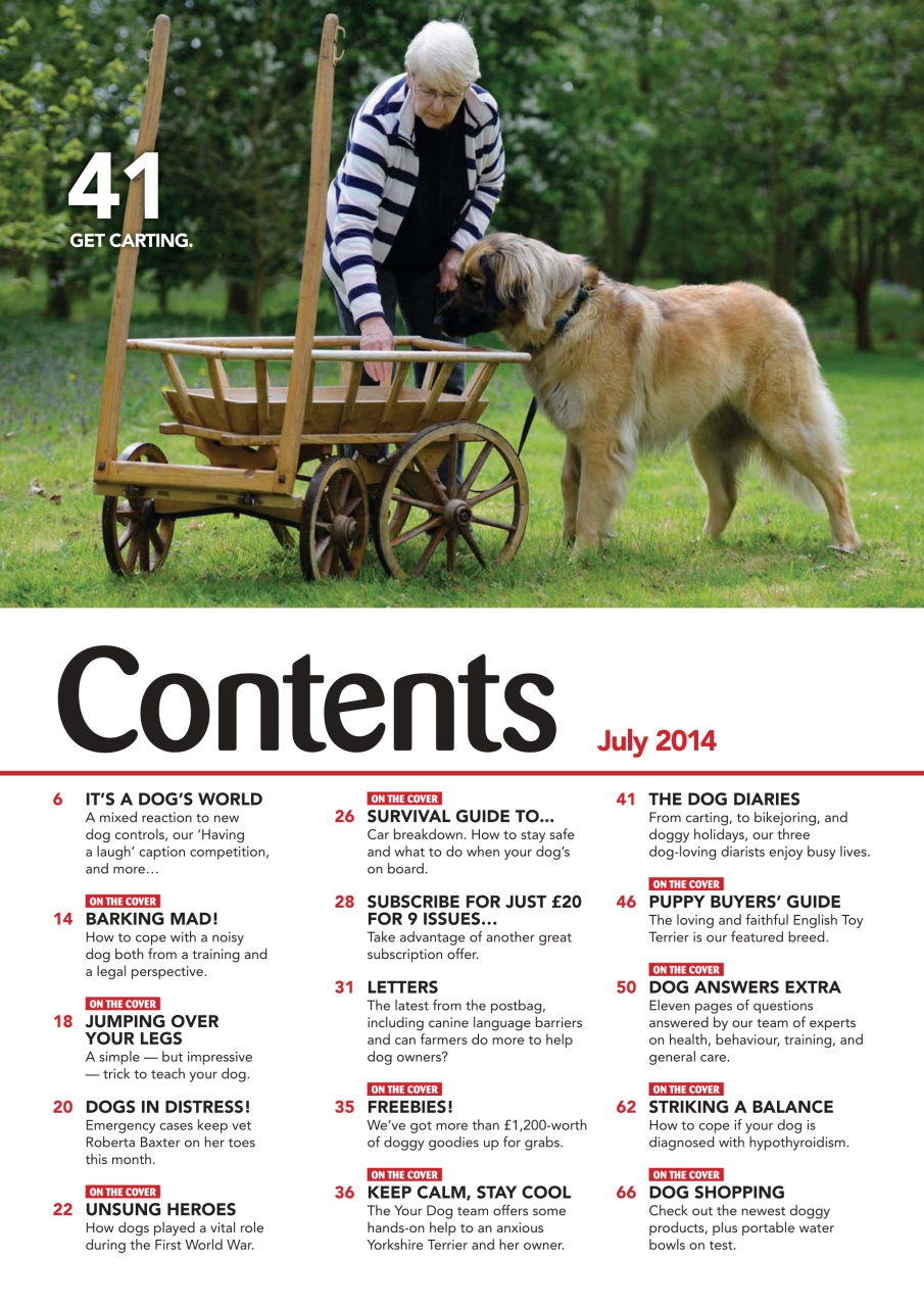 Your Dog Preview Pages