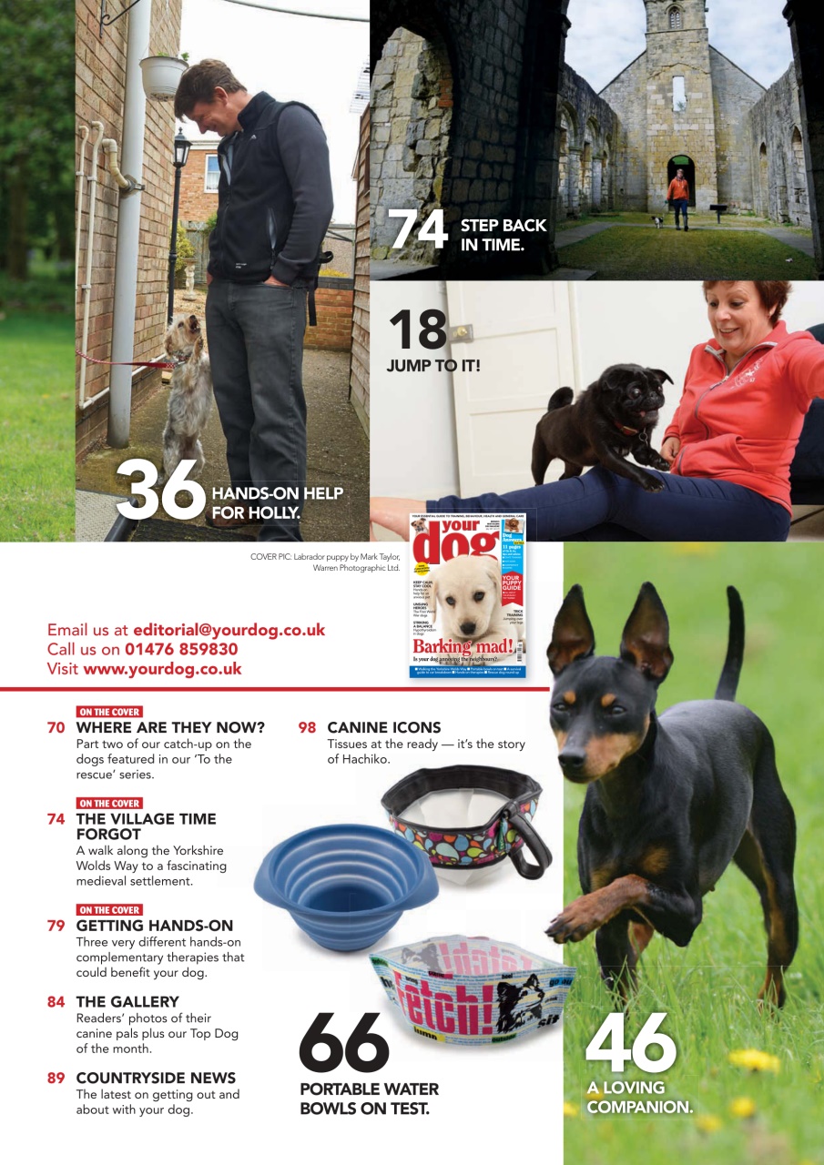 Your Dog Preview Pages
