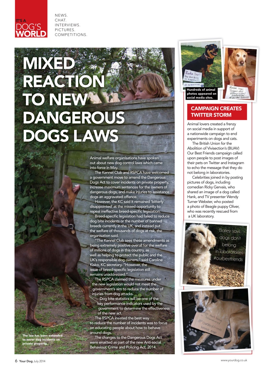 Your Dog Preview Pages