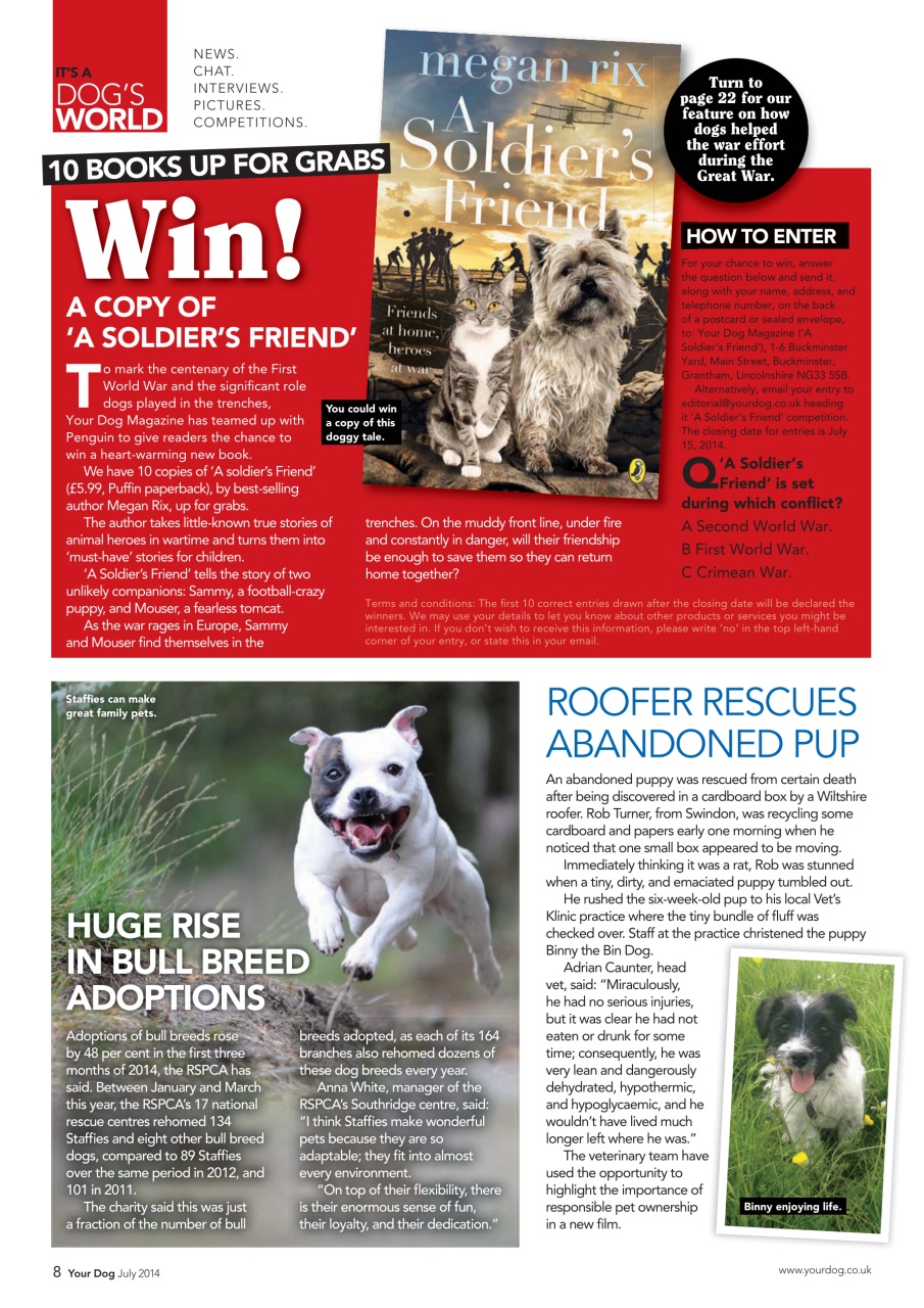Your Dog Preview Pages