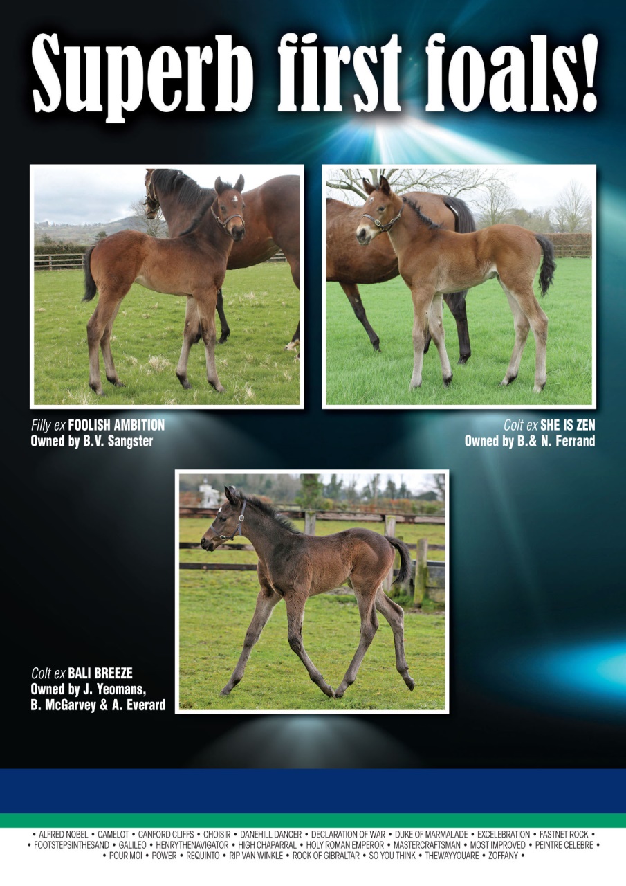 The Owner Breeder Preview Pages