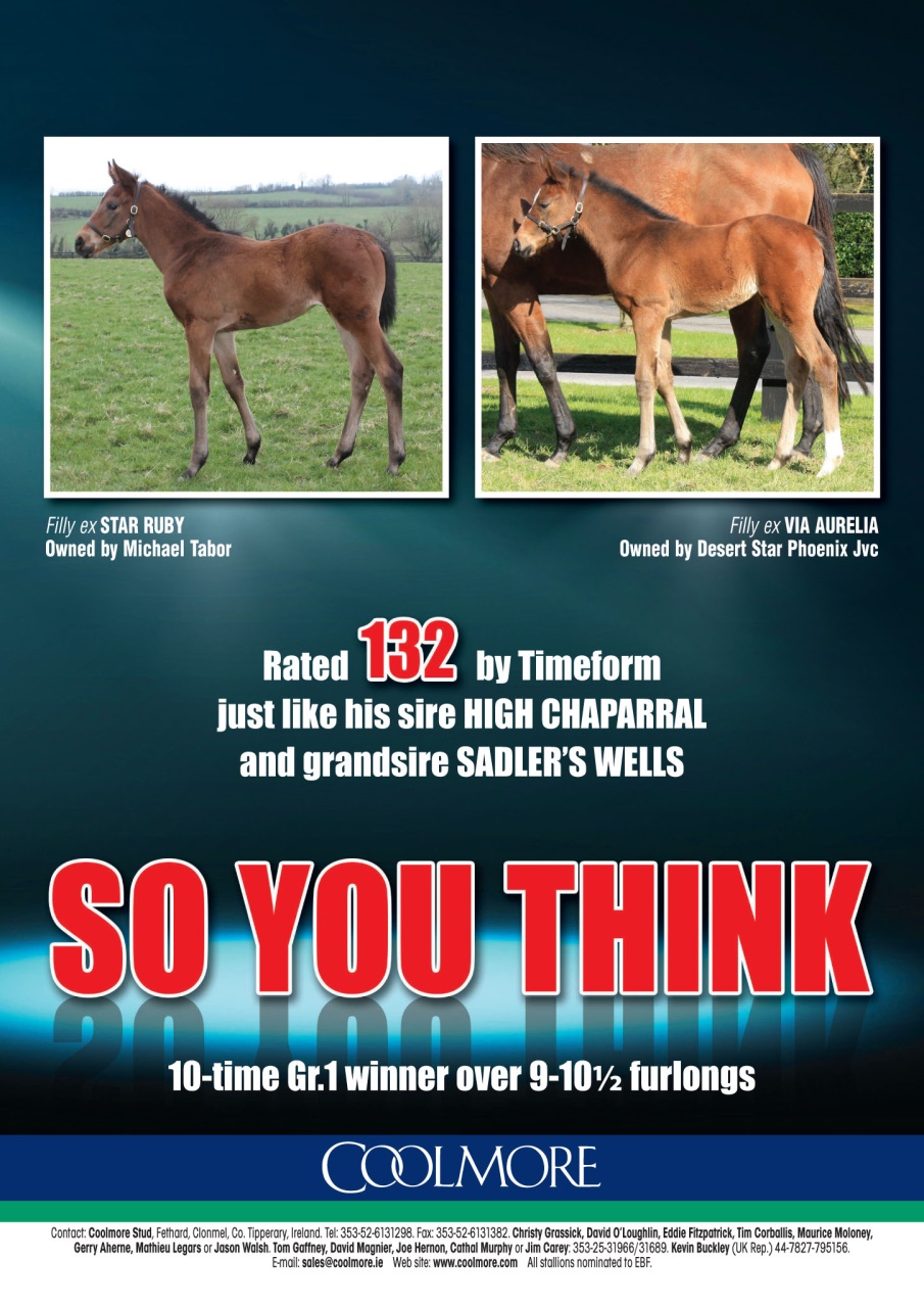 The Owner Breeder Preview Pages