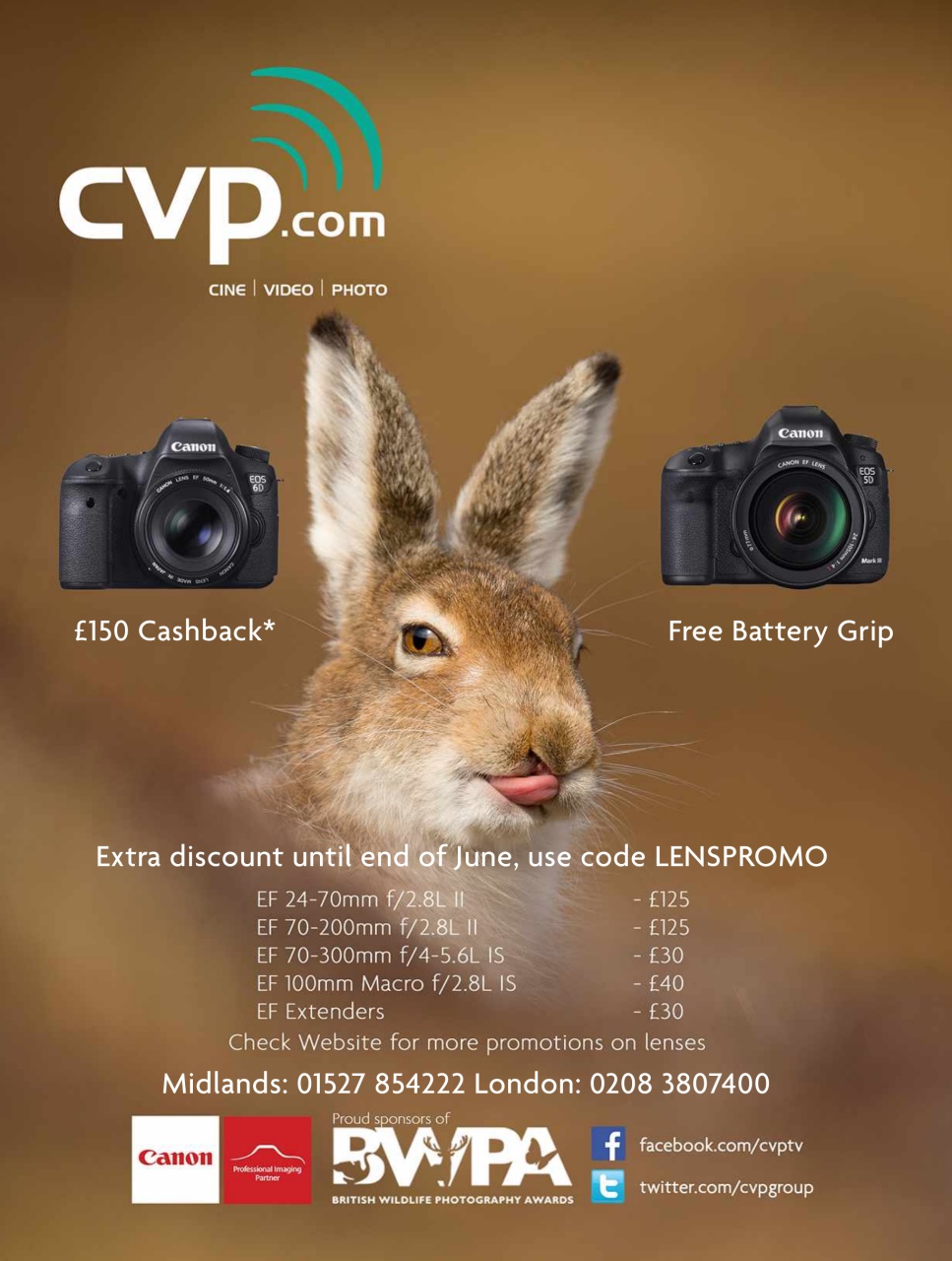 BBC Wildlife Magazine Preview Pages