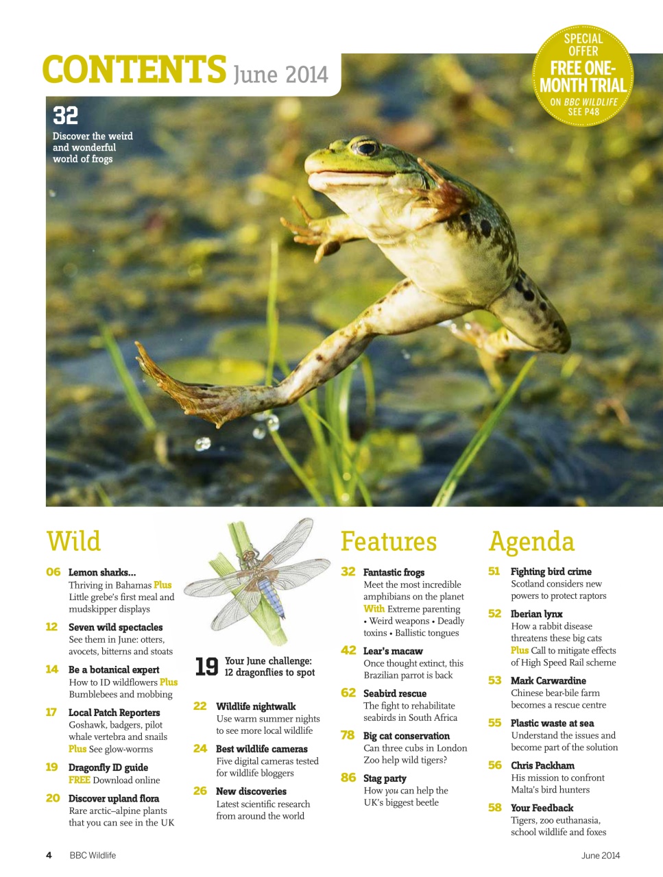 BBC Wildlife Magazine Preview Pages