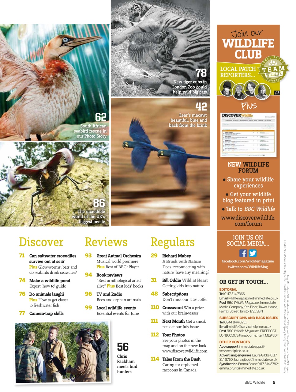 BBC Wildlife Magazine Preview Pages