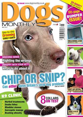 Dogs Monthly issue May 2010