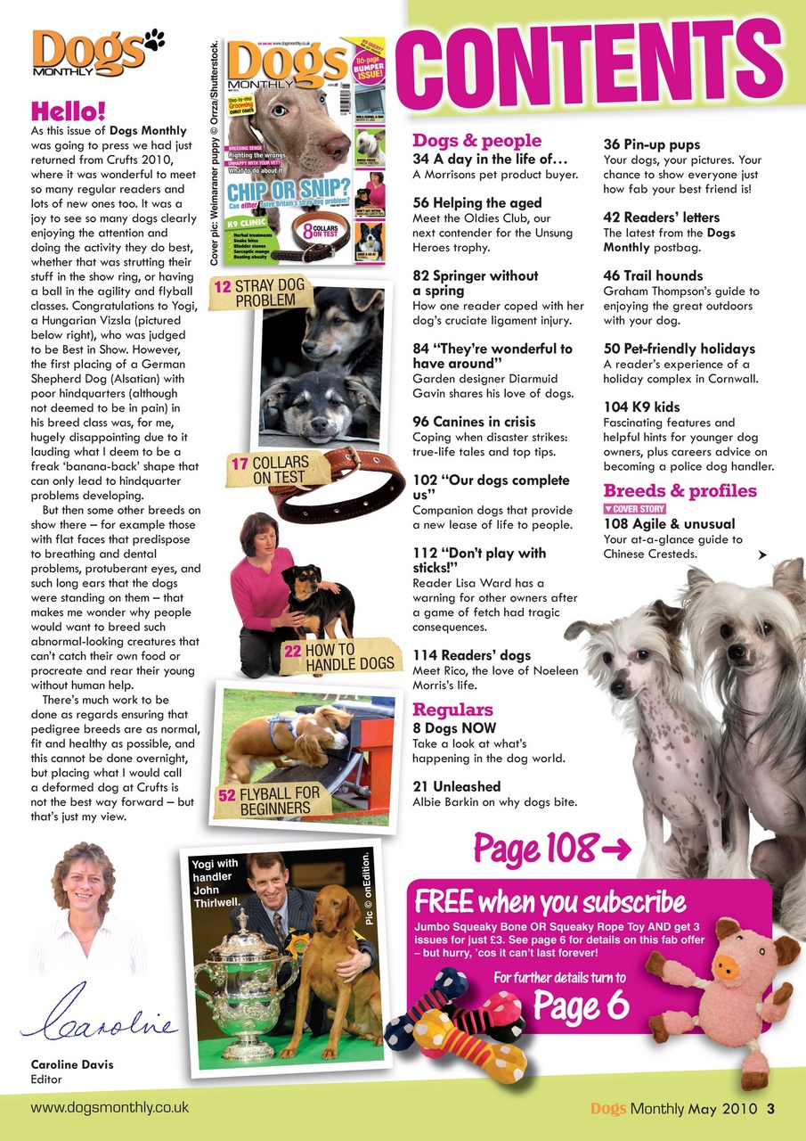 Dogs Monthly Preview Pages
