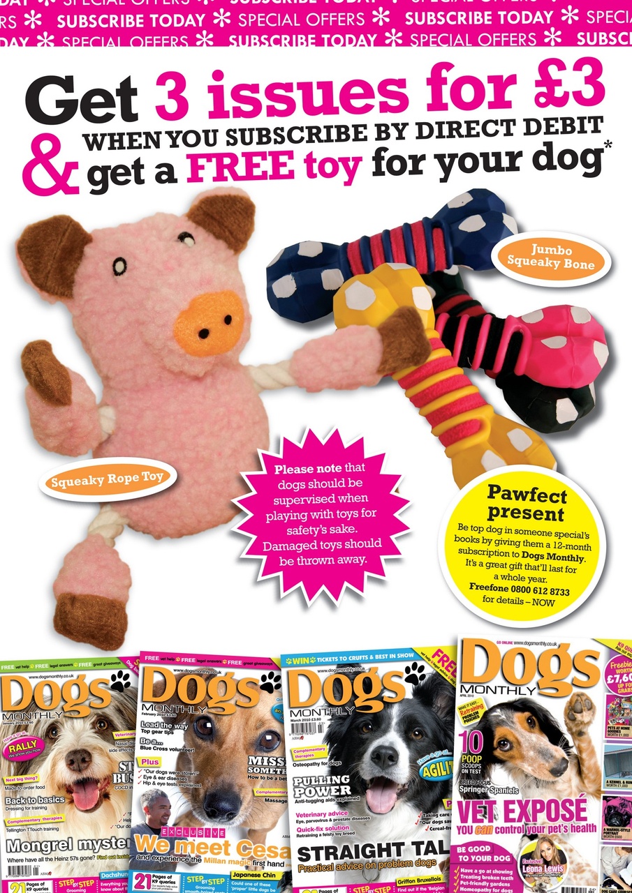 Dogs Monthly Preview Pages