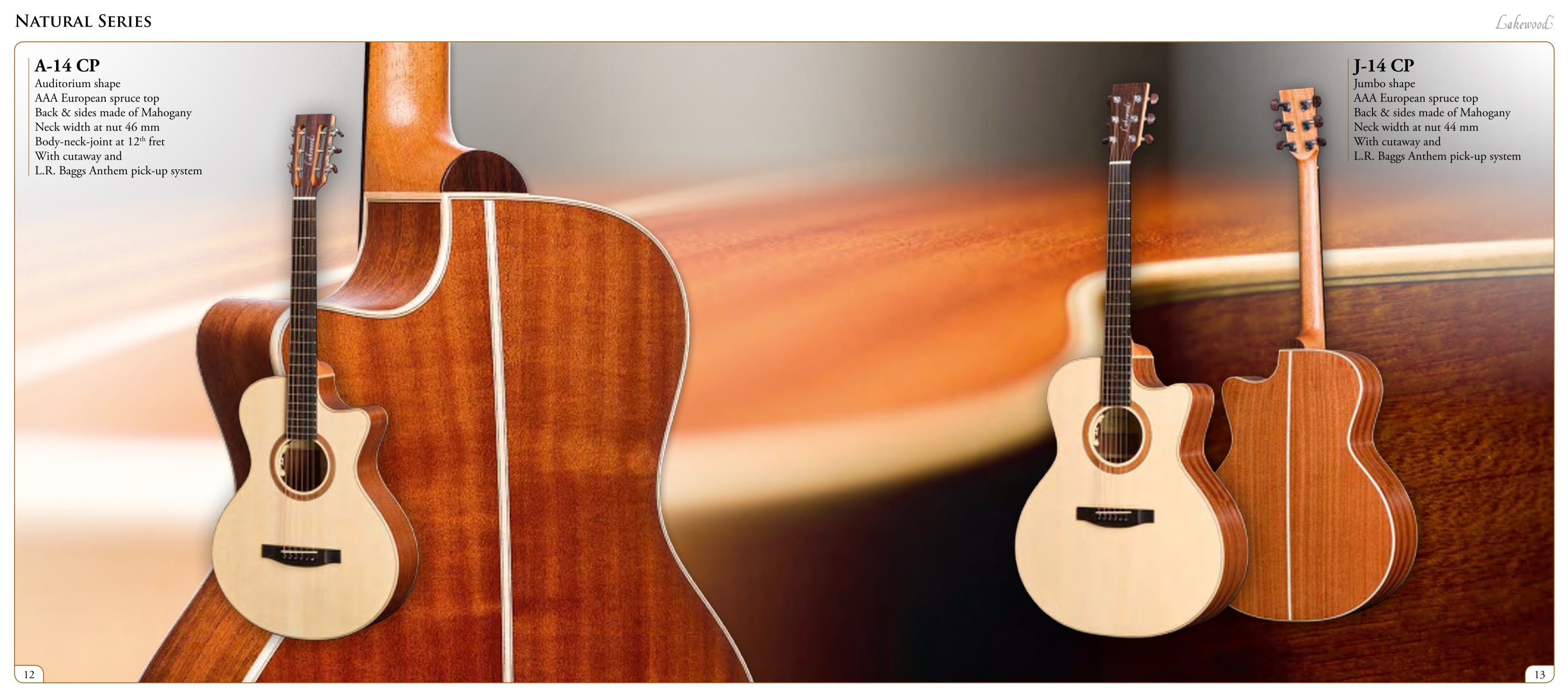 Acoustic Preview Pages