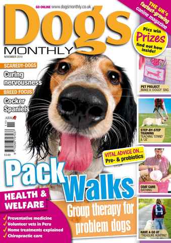 Dogs Monthly issue November 2010