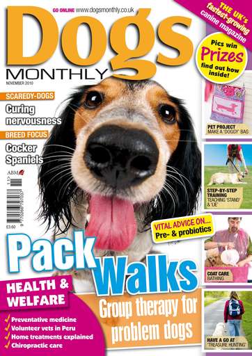 Dogs Monthly issue 