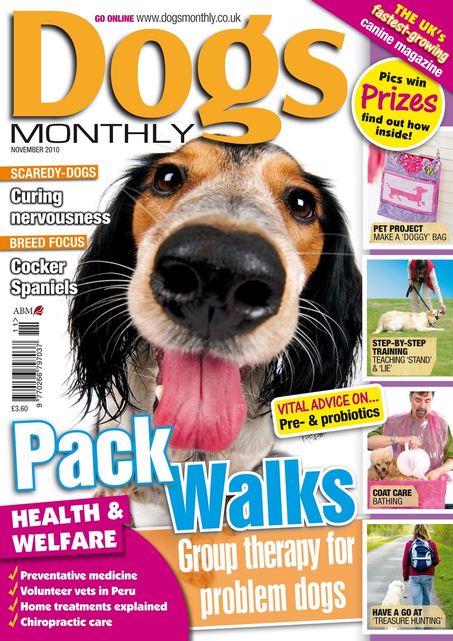 Dogs Monthly Preview Pages