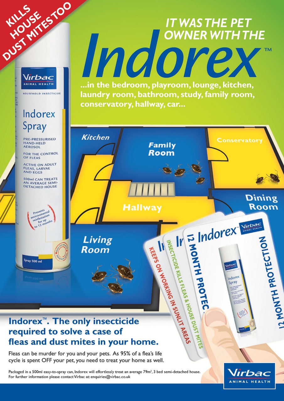 Dogs Monthly Preview Pages