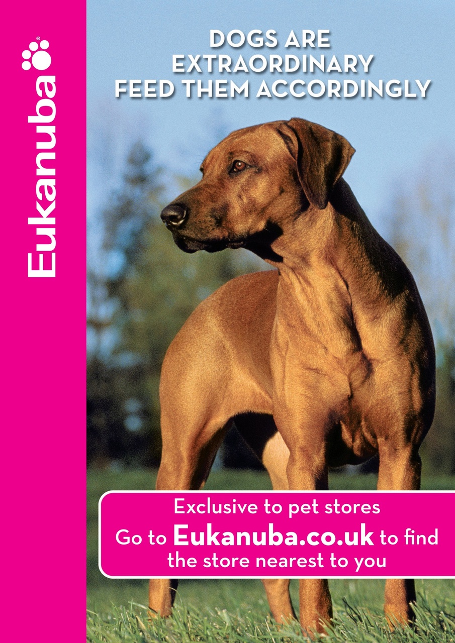 Dogs Monthly Preview Pages