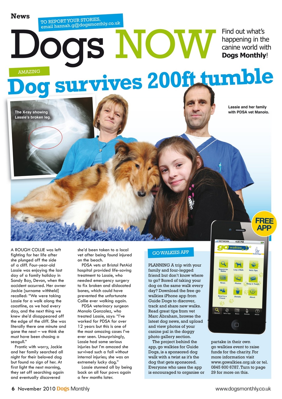 Dogs Monthly Preview Pages
