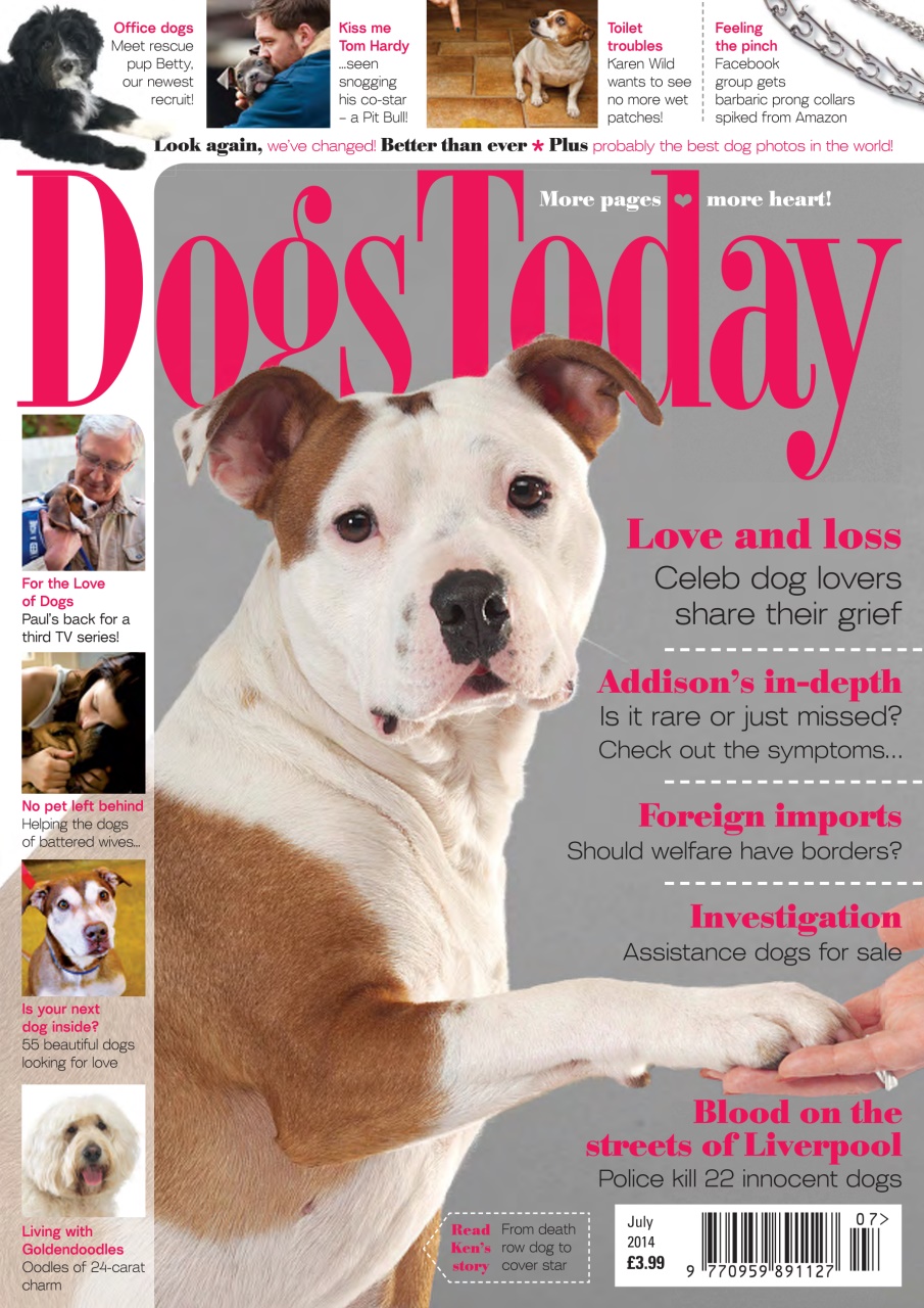 Dogs Today Magazine Preview Pages