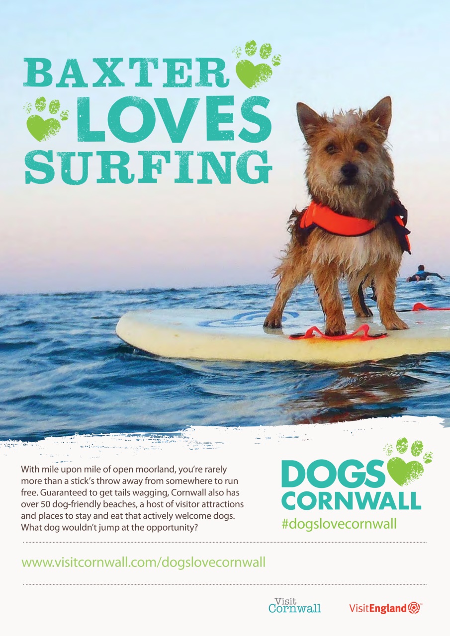 Dogs Today Magazine Preview Pages