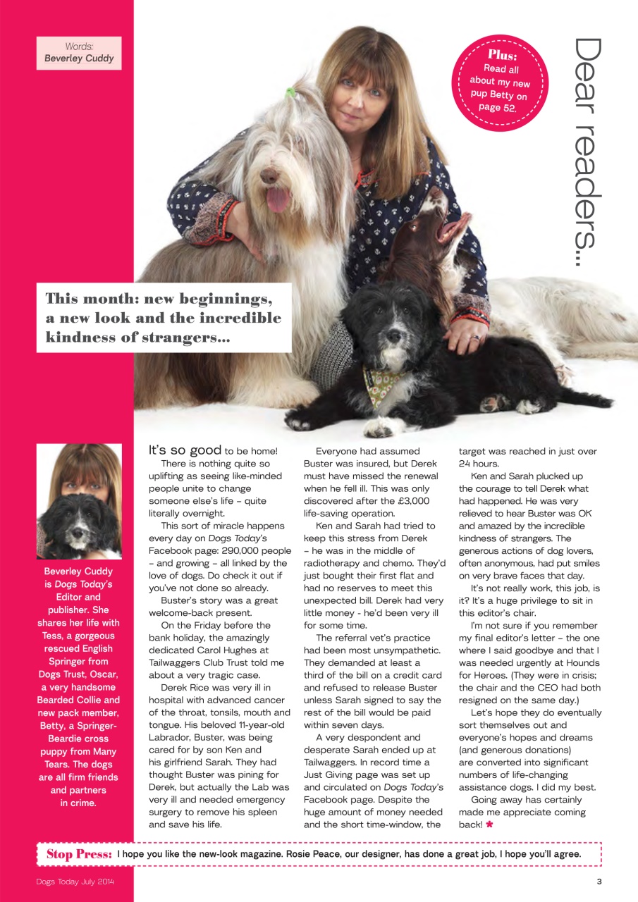 Dogs Today Magazine Preview Pages