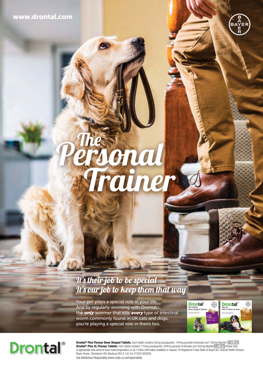 Dogs Today Magazine Preview Pages